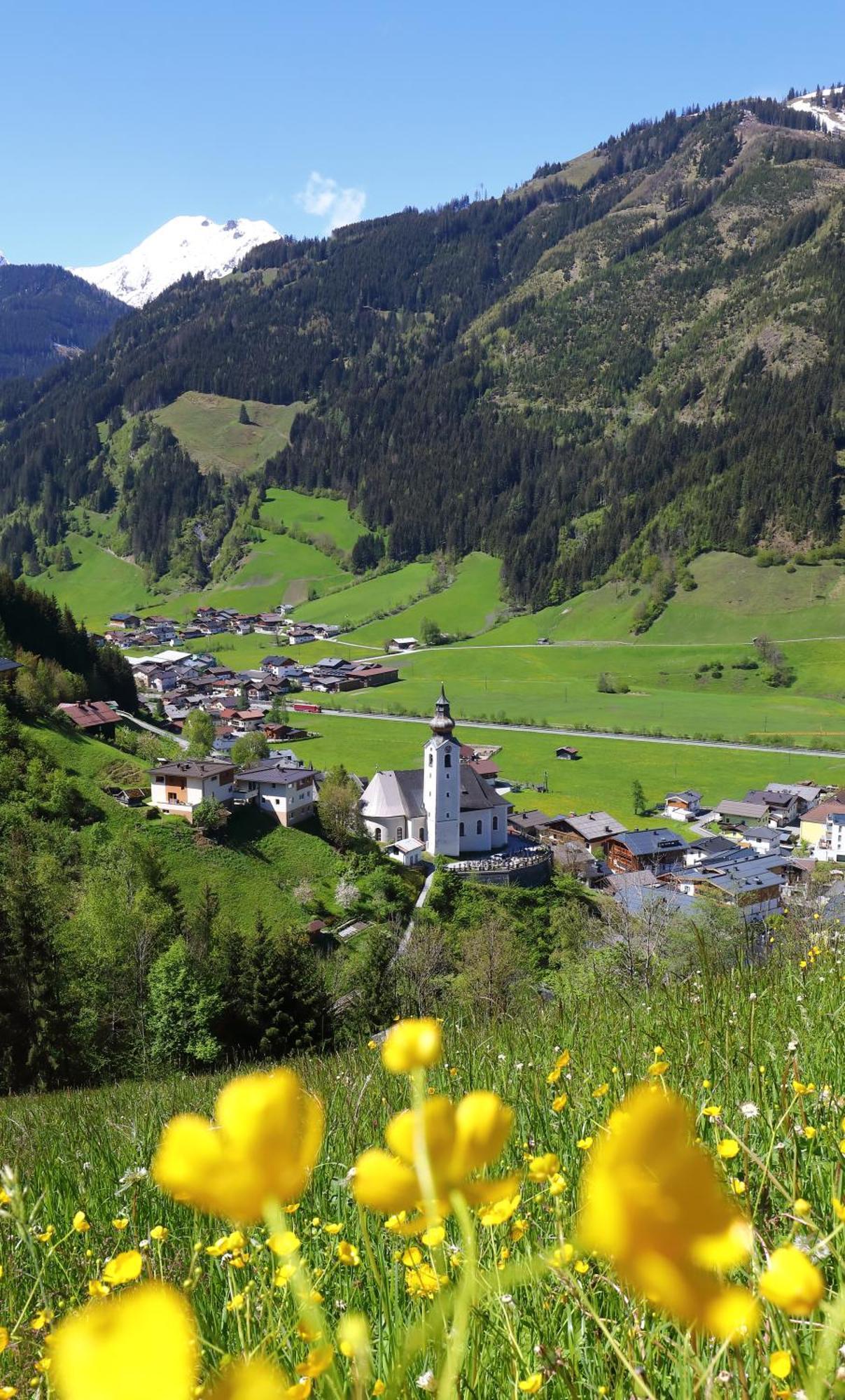 Wallnerhof Гросарл Екстериор снимка